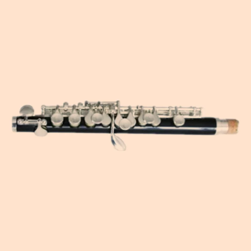 MeeLe-ABS Body Piccolo with Silver Plated Keys, Silver Plated Head Joint