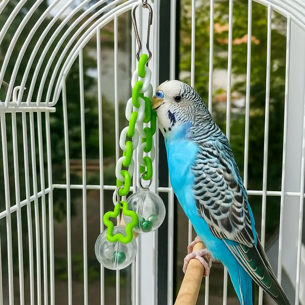 

Bite Resistant Parrot Hanging Ball Toy Colorful with Bells Bird Birdcage Climbing Ladder Transparent Ball Birdcage Pendant