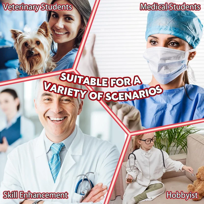 A34M-3 قطعة وسادة خياطة 3 طبقات لوحة ممارسة خياطة الجروح لممارسة طلاب البيطريين