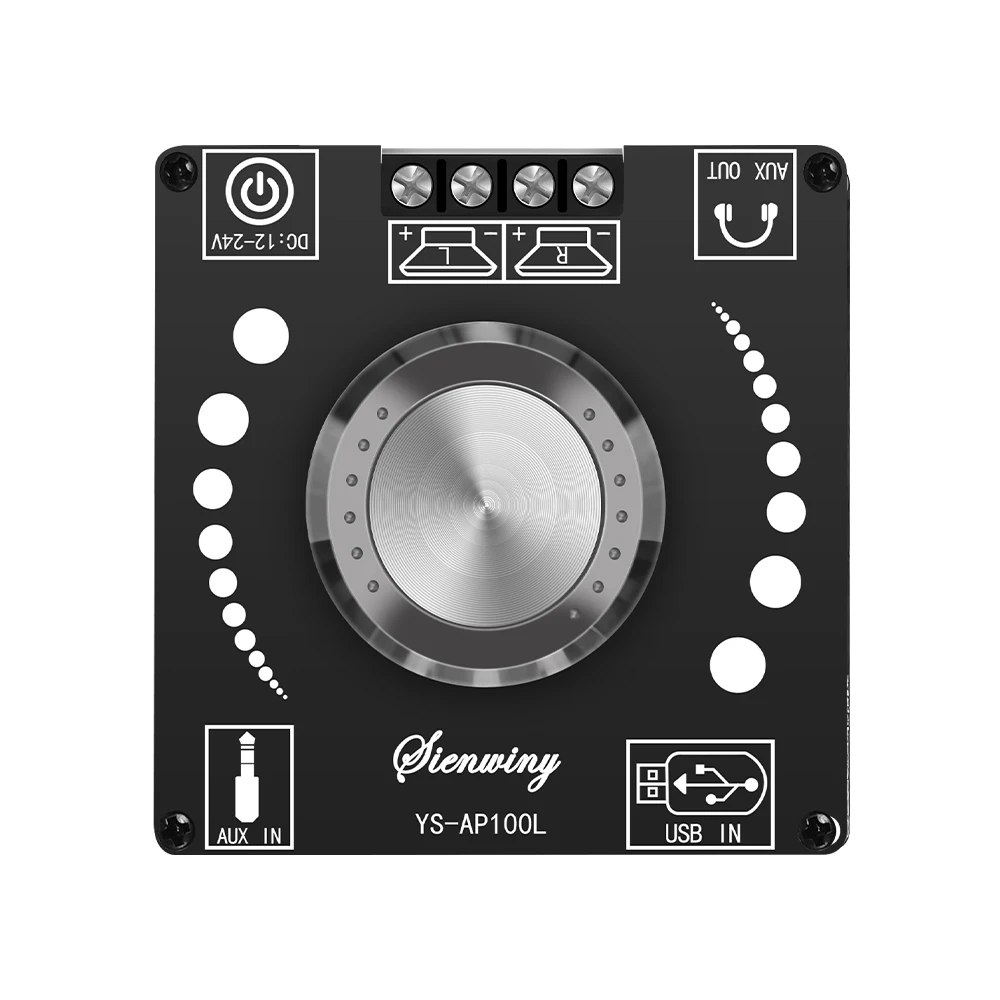 YS-AP100L Scheda amplificatore digitale Bluetooth 100W + 100W Scheda amplificatore stereo a doppio canale Scheda amplificatore + Adattatore DC