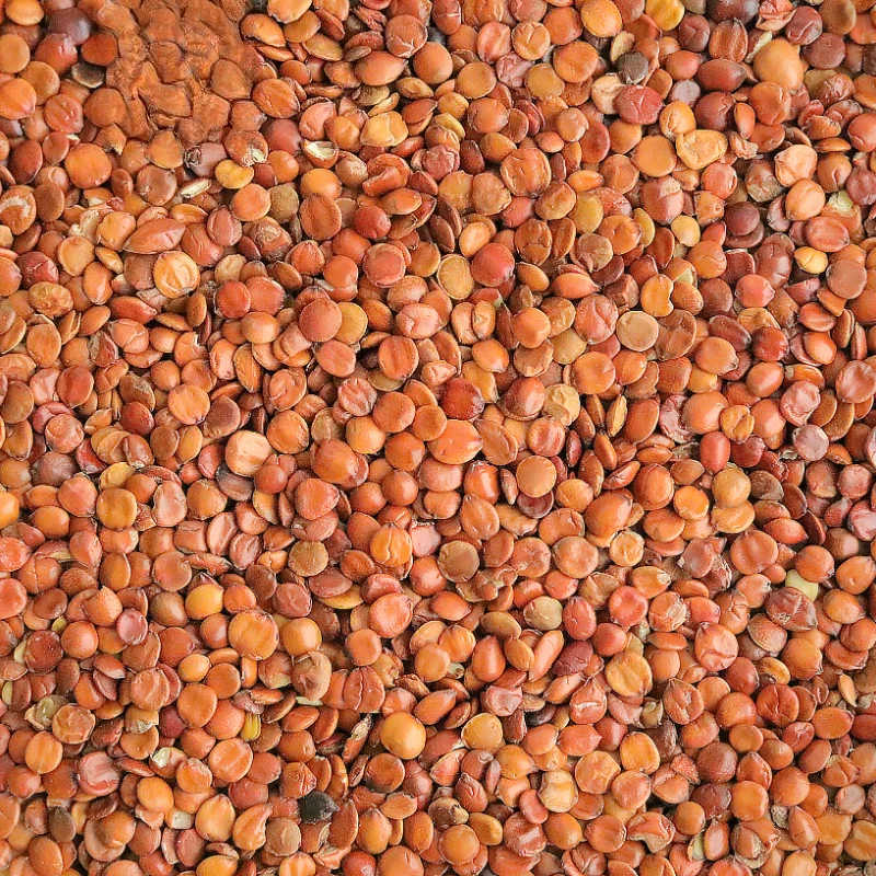 بذور العناب الخام الخالية من الكبريت