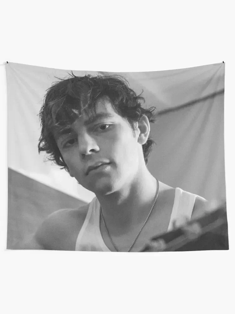 ross lynch Tapestry Christmas Decoration Room Decorations Aesthetics Aesthetic Room Decor Korean Tapestry