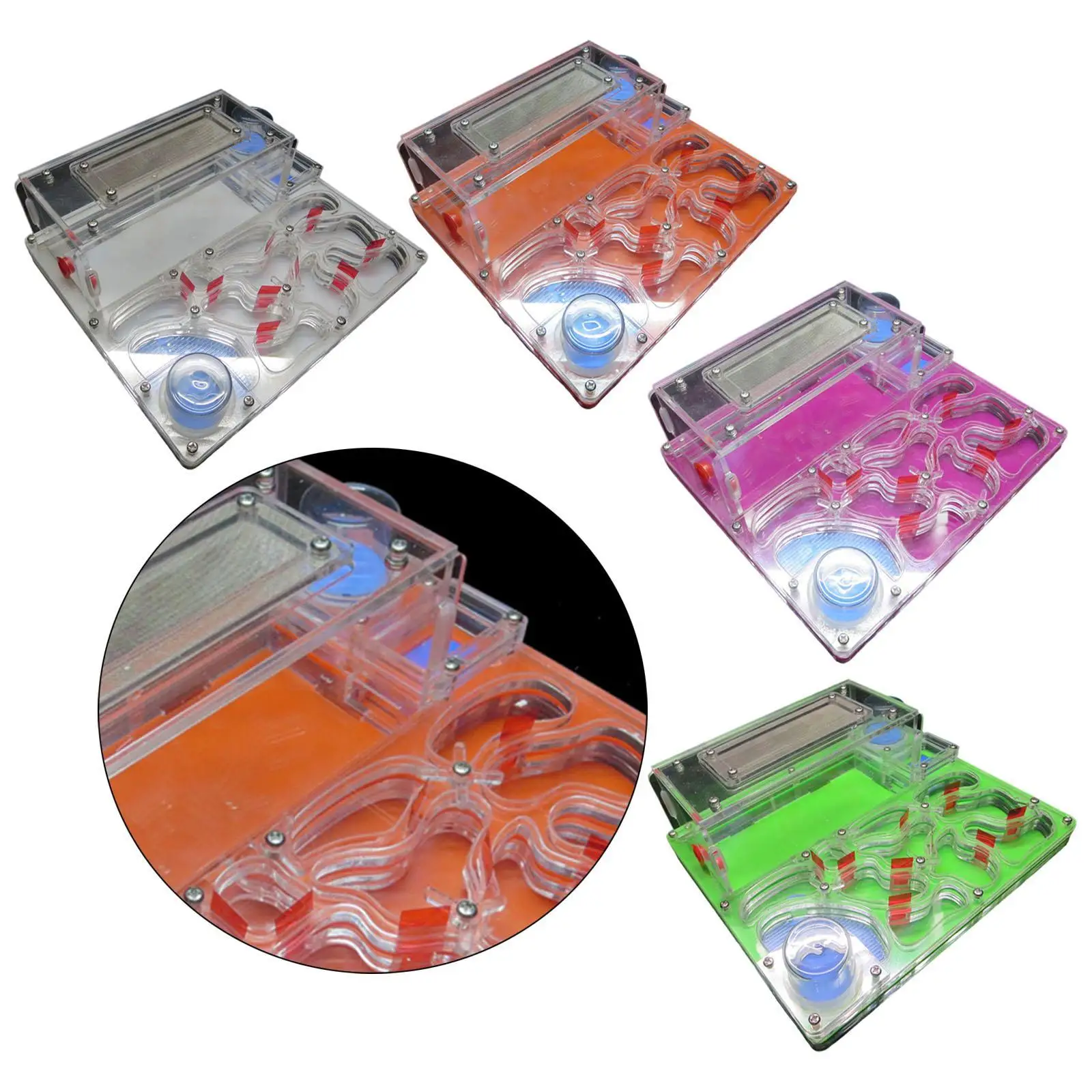

ANT Nest Farm Sturdy Acrylic Rectangular with Feeding Area Educational Castle ANT Vivarium for Kids Stem Learning Toy