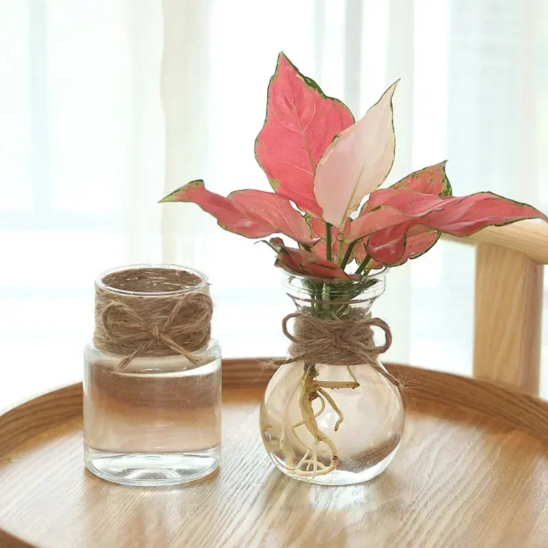 Small Vase for Centerpieces Flower Plastic Bud Vases Rustic Mini Clear Vase Unique Shapes for Wedding Dinning Home Decoration