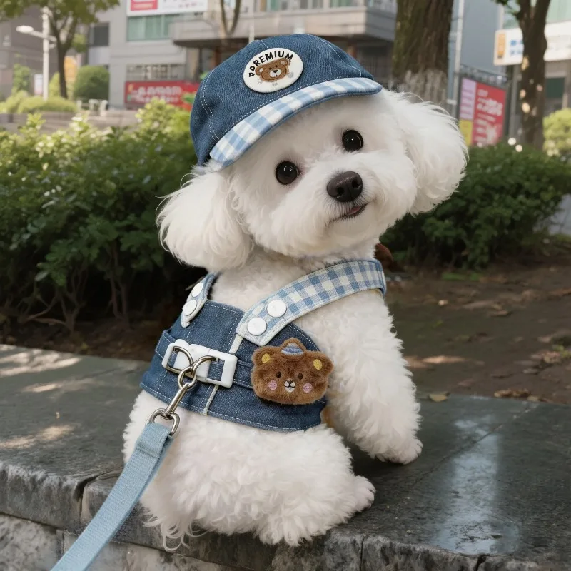 Cute Cartoon Dog Harness Vest With Adjustable Traction Rope Pet Walking Clothes For Teddy Bichon Pomeranian Small Dogs Outdoor