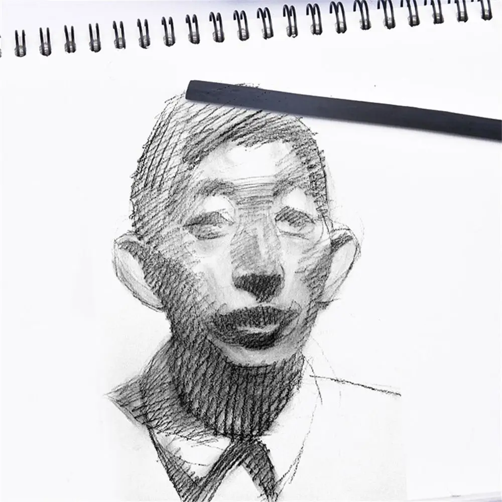 Black Color Charcoal Sticks Vine Charcoal Willow Charcoal Charcoal Bars Strong Color Professional Drawing Charcoal Pencils