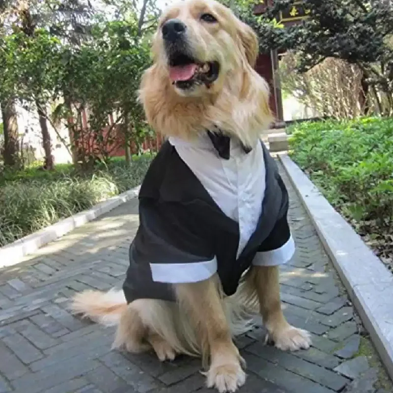 

Pink Casual Rose Flowers Dog Dress Strap Skirt Cute Costume for Small Dogs And Cats Fashion Pet Clothes Wedding Attire XS-XL