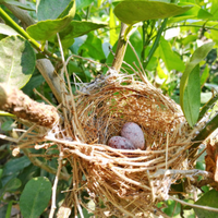 1pcs Servo 15KG R86076 For RC Model Car Crawler RGT 1/10 Monster Truck Off Road Rock Cruiser EX86100