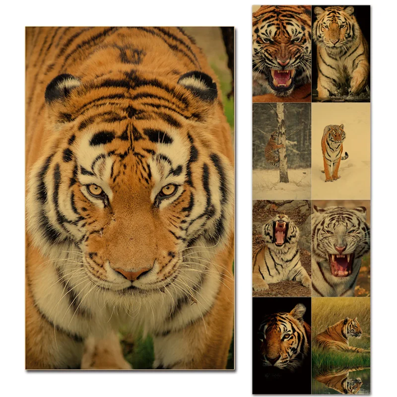 

Home Decor Retro Wild Tiger Poster 2022 New Year of Tiger Feng Shui Wall Decor Prints Paper Posters Blessing Lucky Expel Disease