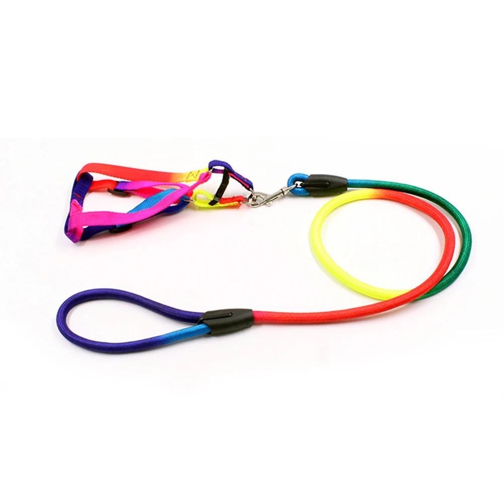 

Rainbow Color Dogs Collars Leads Puppy Harness Leashes Chest Straps Pet Traction Ropes Dog Supplies - Size S