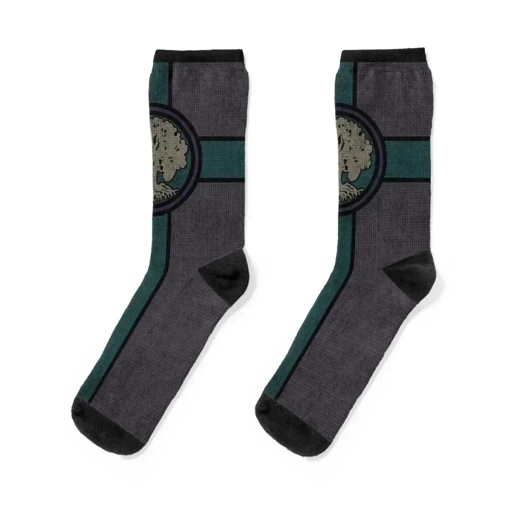 

TES Tapestry 13 - Flag of Chorrol Socks anime Hiking boots aesthetic colored Women's Socks Men's
