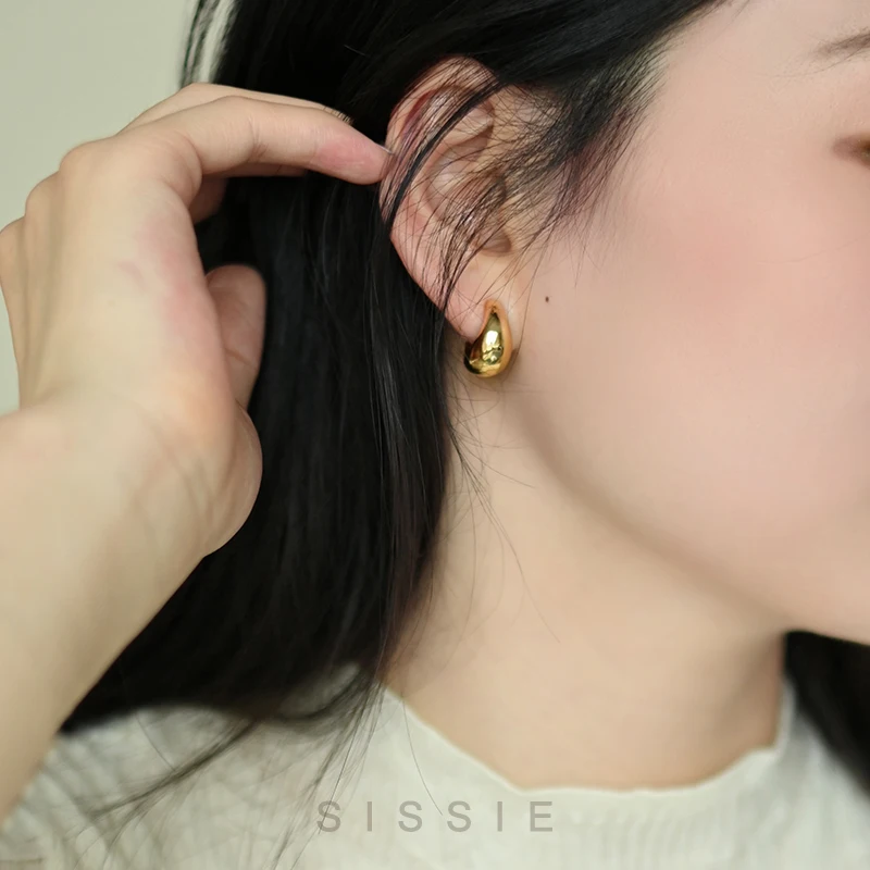 

Luxury high-gradeClip Earrings for Women woman lady girls painless earrings women's earrings no piercing accessories
