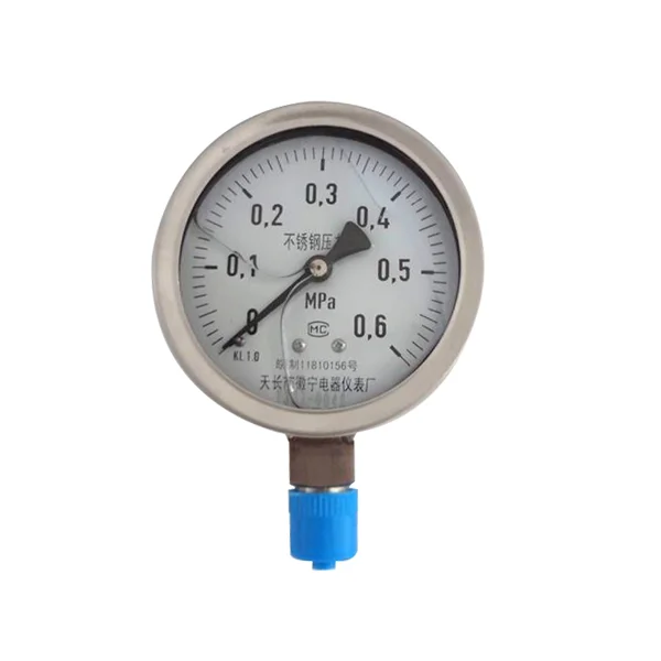 China OEM Stainless steel manometer pressure gauge 250mm 0.1-4MPa