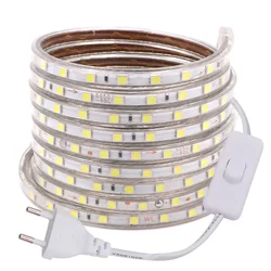 Tira de luces LED de ca de 220V, cinta de luces LED Flexible, resistente al agua con enchufe de interruptor, 5050 SMD, 60LED/m, diodo de cinta de iluminación exterior