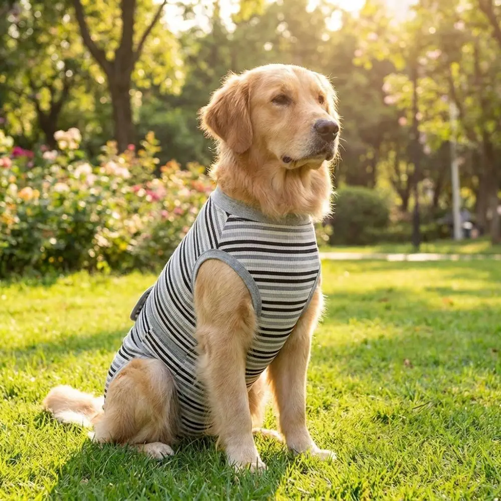 Breathable Dog Sterilization Suit Striped Soft Dog Anti-Licking Jumpsuit Adjustable High Elastic Pet Physiological Pants