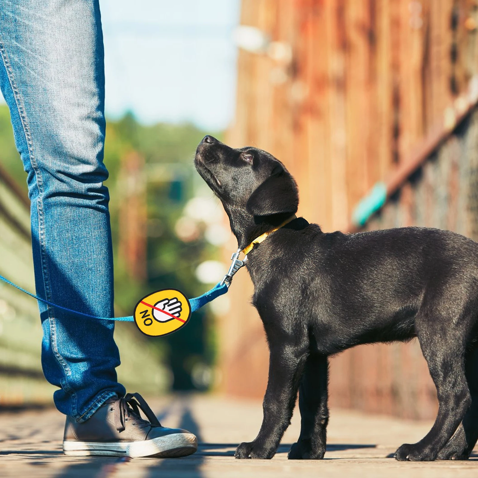 Do Not Touch Meaning Social Logo Identification Label Leash Sticky Stickers Warn Decals Reminder for Pet Puppy