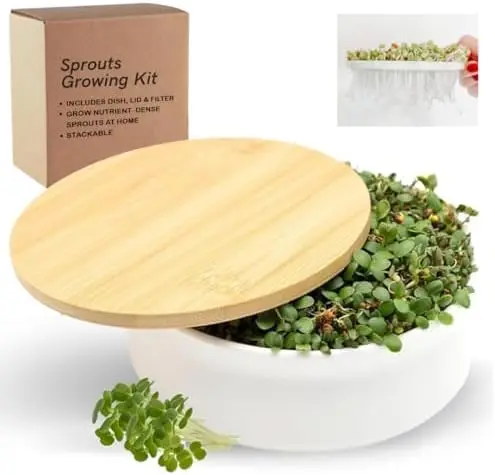 

Sprouting Kit for Broccoli, Microgreens & Bean Sprouts – Ceramic Dish & Bamboo Lid – Stackable Design