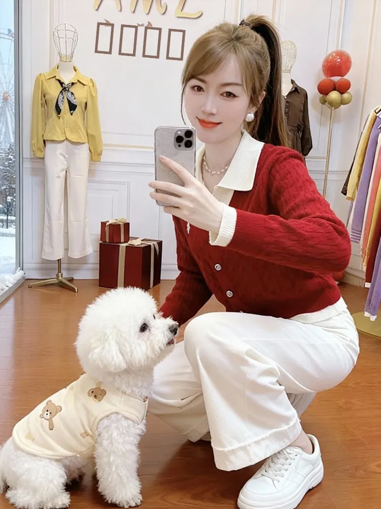 

Повседневный вязаный свитер женский, модный, стройнящий, в стиле минимализм, осенне-зимний, новинка, антивозрастной топ