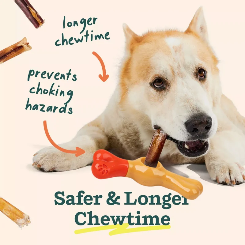 Amazon's Best-Selling Dog Chew Stick Holder, Durable and Chew-Resistant, Prevents Choking, Pet Chewing and Gnawing Stick Stand