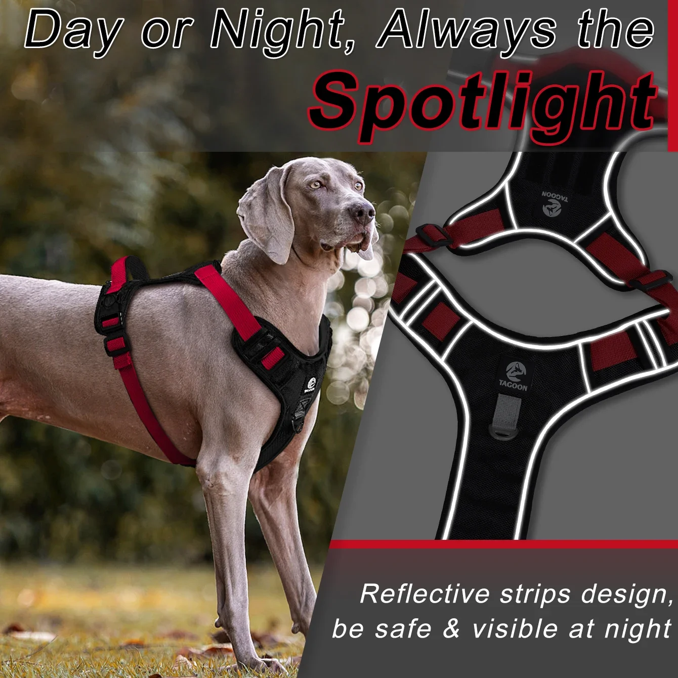 New Arrival Anti Pu…