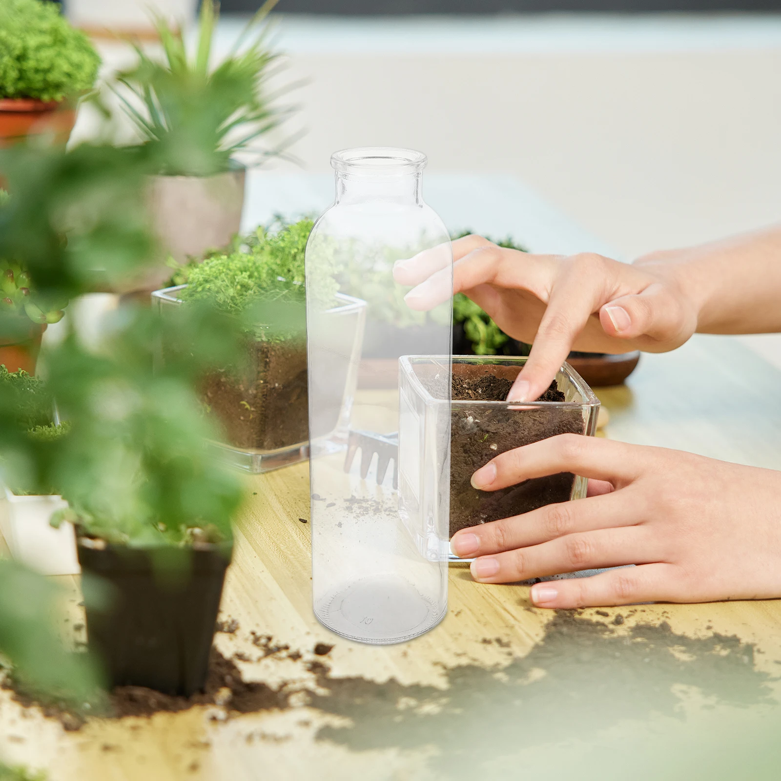 

Terrarium Glass Containers Micro Landscape DIY Bottle Indoor Outdoor Decor Terrarium Glass Containers Bottle with Cork