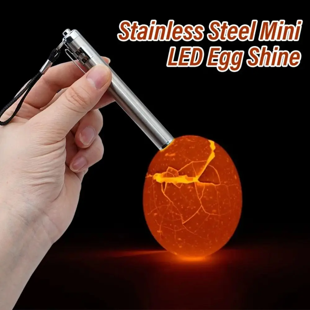 Stainless Steel LED Egg Detector Lamp Cold Light with Flashlight Egg Candler Tester Incubator Eggtester