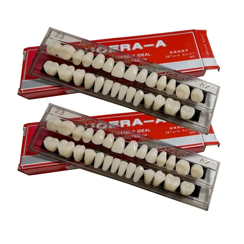 

2 PCS False Teeth Dental Complete Acrylic Resin Denture Teeth Whole Teeth Synthetic Polymer Denture Tooth