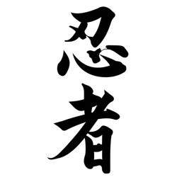 12cm Warning Car Sticker Ninja In Kanji Japanese Chinese Character for Ninja Motorcycle Stickers Personality, Cute, Products PVC