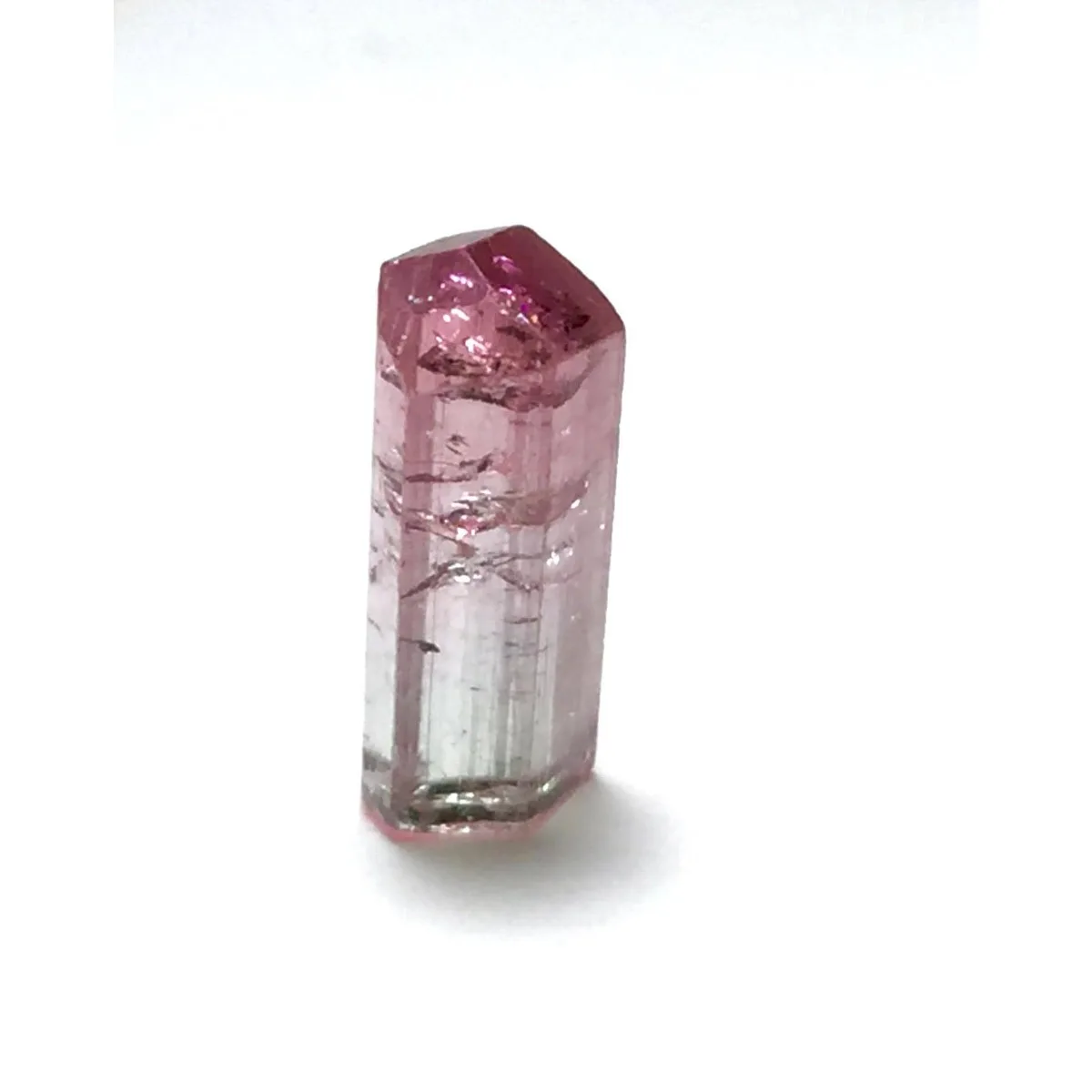 Brazilian Elbaite Crystal Points, 10g 5-15mm Multicolor Stones, Display Box for Craft Projects & Mineral Display