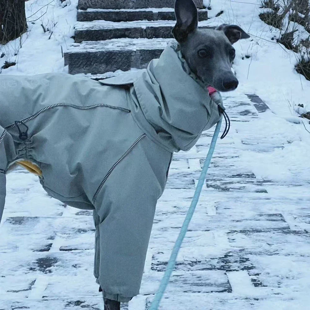 Winter Warm Reflective Coat for Small Mid Big Greyhound Windproof Waterproof High-neck Jacket for Whippet Dogs in Cold Weather