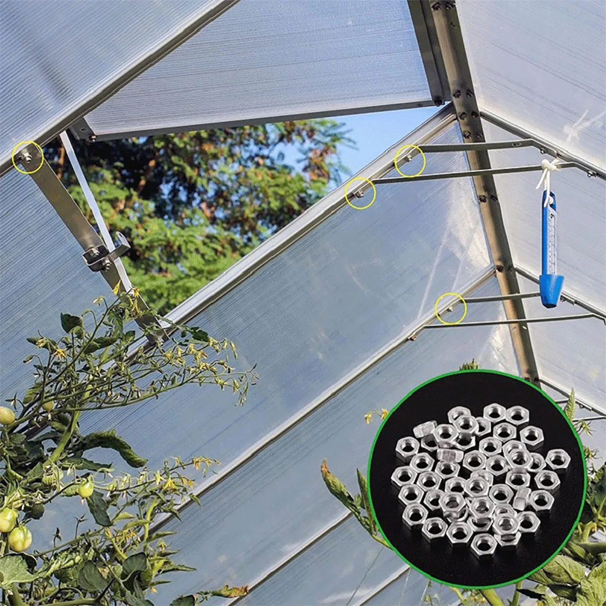 1/10/20/50/100 قطعة مسامير الألومنيوم الفضة الدفيئة طقم تصليح مسامير الجوز مجموعة للإزالة المضادة للتشوه دائم المكسرات عدة اكسسوارات #6