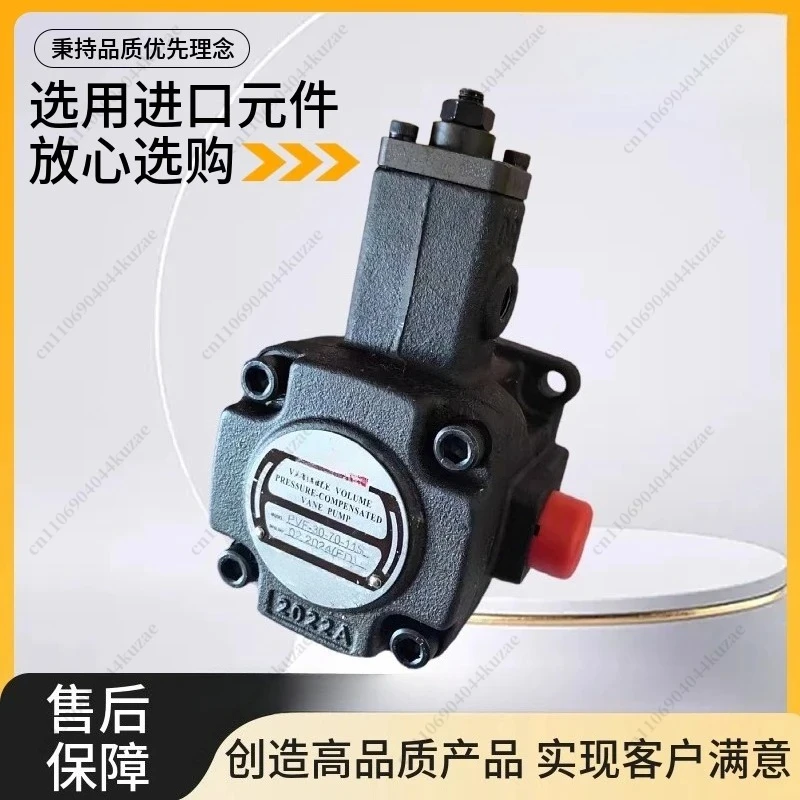 PVF-20-70-10 S/11S/12/15/30/35/40/55 Variable Vane Pump with Flat Key & Spline