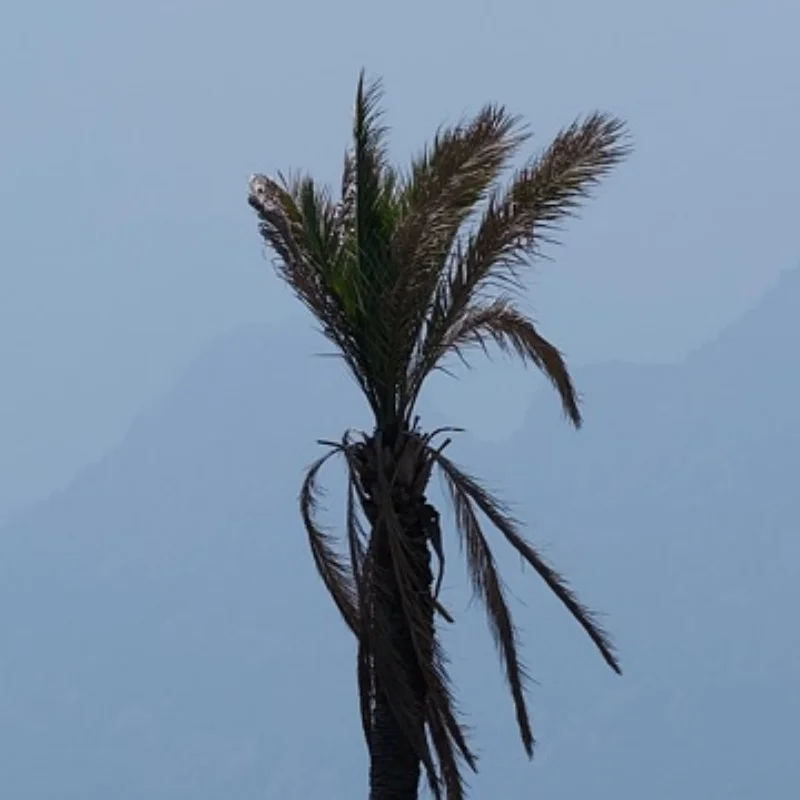 MJX Hyper Go H8P Stainless Steel Chassis Armor Guard Protection Protector Skid Plate 1/8 RC Car Upgrade Parts