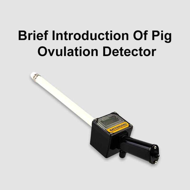 livestock farm ovulation detector for pig swine animal test estrus  for artificial insemination AI veterinary instrument