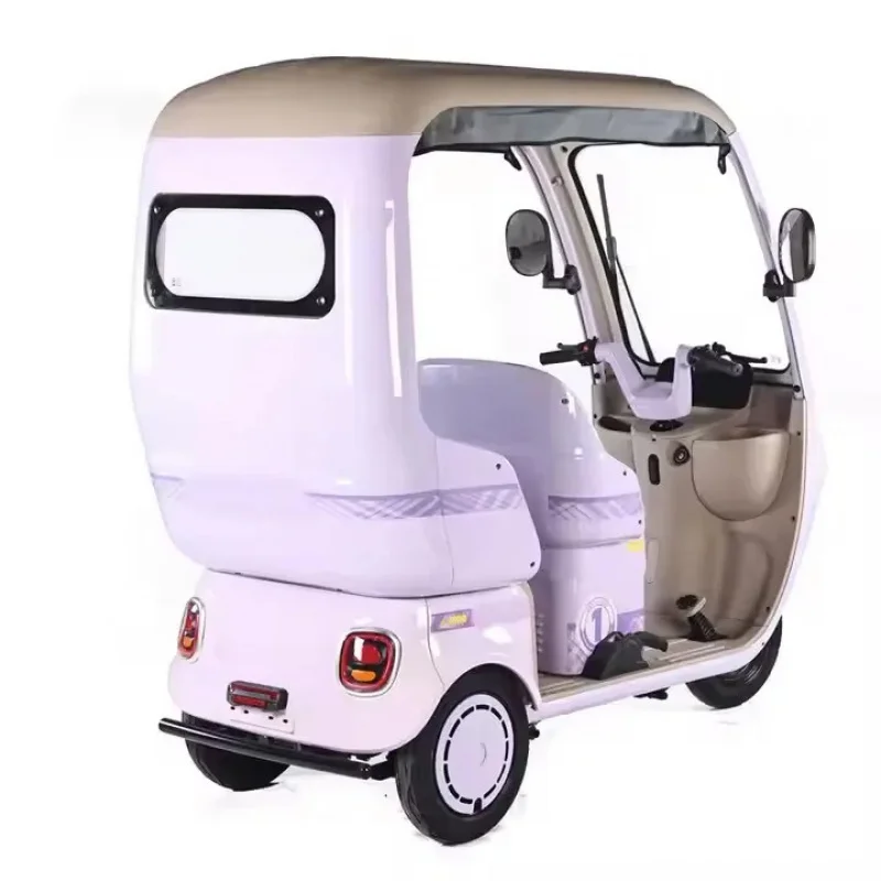 دراجة ثلاثية العجلات عالية الجودة بقدرة 800 وات ذات 3 عجلات، بيع دراجة ثلاثية العجلات من الحديد الآلي المشهورة لاستخدام الركاب #4