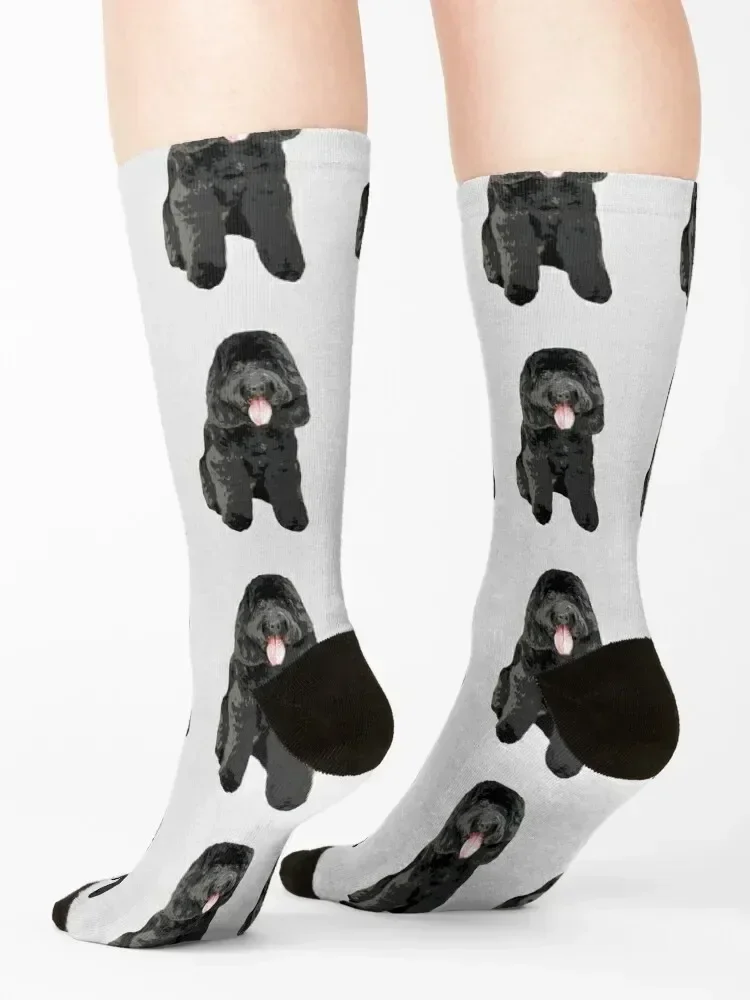 Cockapoo Cockerpoo Black Cutie Doodle Dog Socks Rugby Novelties japanese fashion hiphop Socks Men Women's