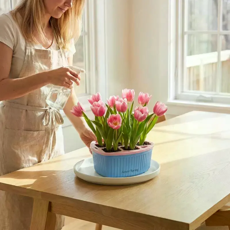 Tulip Grow Kit Acrylic Basin Root Check Strong Stable 4 5 Hole Basket Bulb Care Simple Indoor Decor Hydroponic Planter