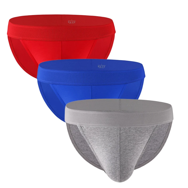 3PCS Underwear Men Briefs Cotton Low Waist Elastic Soft Breathable U-shaped Convex Men's Underpants Calzoncillos