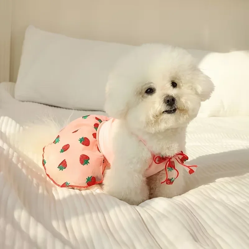 夏用薄手子犬用プリンセススカート犬服可愛いペット犬用ドレス小 - Pet Supplies York のレビューと価格