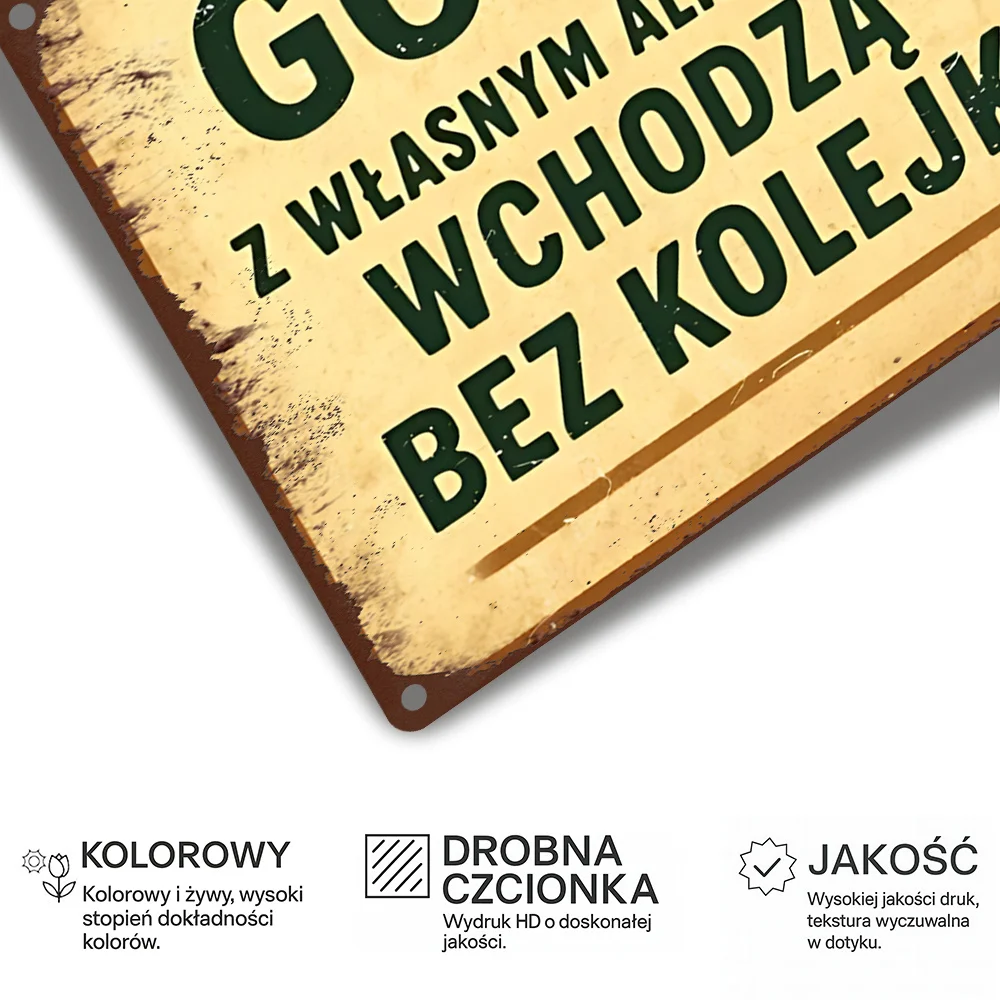 Vintage-Style Metal Decorative Sign,Party Rules for Drinks,Humorous Polish Party Tips. Suitable for Bars, Party Areas, Kitchens