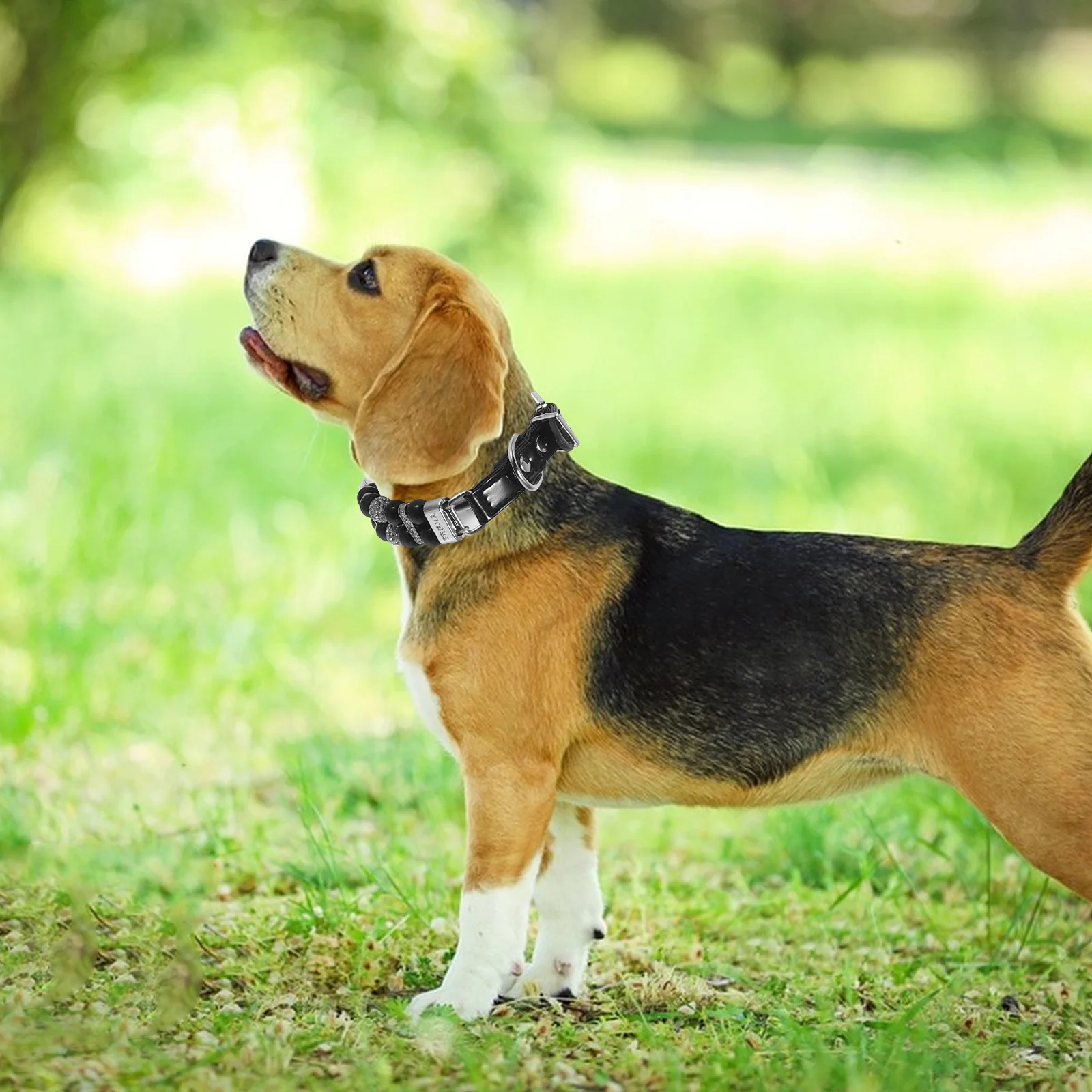 

Dog Collars for Small Dogs: Fashion Pearl Dog Collar with Beaded Design Soft PU Secure Fit for Parties Walks Photo