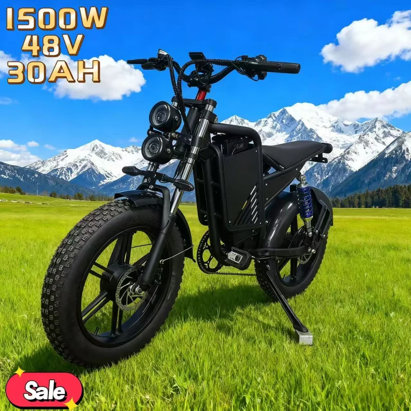 

20-inch electric bicycle equipped with 1500W power 48V 30AH battery can be used for transportation and off-road adult E-bike