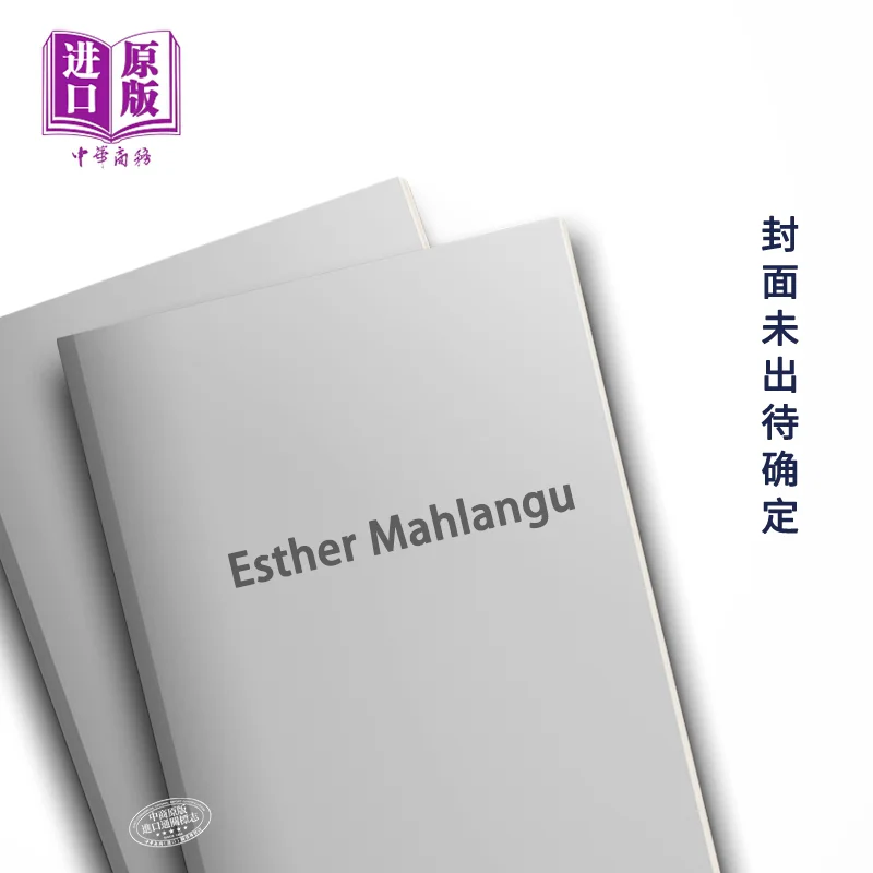 كتاب Esther Mahlangu Hans Ulrich Obrist Azu Nwagbogu Thomas Girst Thames And Hudson Ltd 9780500028124