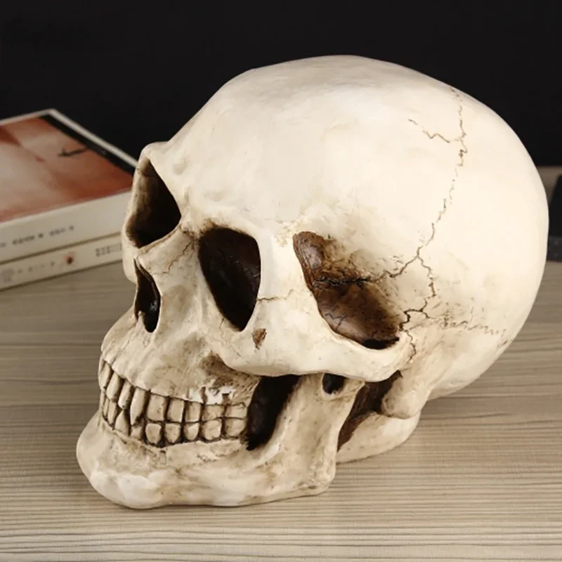 بنك جمجمة أصبع إبداعي للبالغين ، نقود ورقية عتيقة ، صندوق عملات معدنية كبير في الولايات المتحدة ، هدية عيد ميلاد