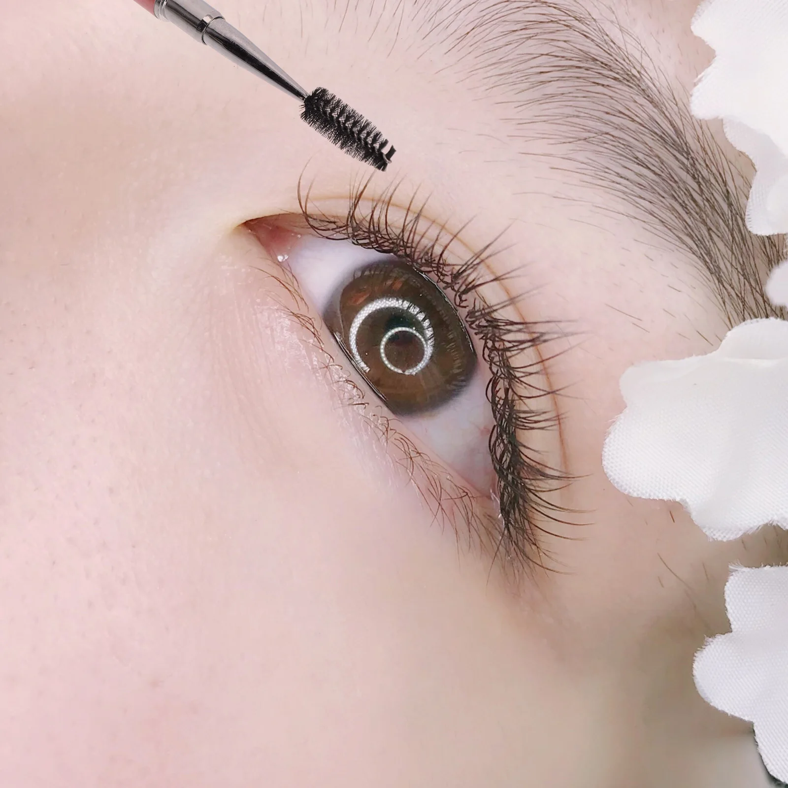 6 قطعة فرشاة الحاجب ماسكارا قضيب حجر الراين لاش مشط المحمولة ماكياج العرض لصالون المنزل استخدام البلاستيك رمش عصا أداة #2