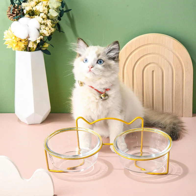 Cat Double Bowl Glas with Stand and Mat Pet Kitten Puppy Transparent Food Feeding Dish Water Feeder Metal Elevated Dog Supplies