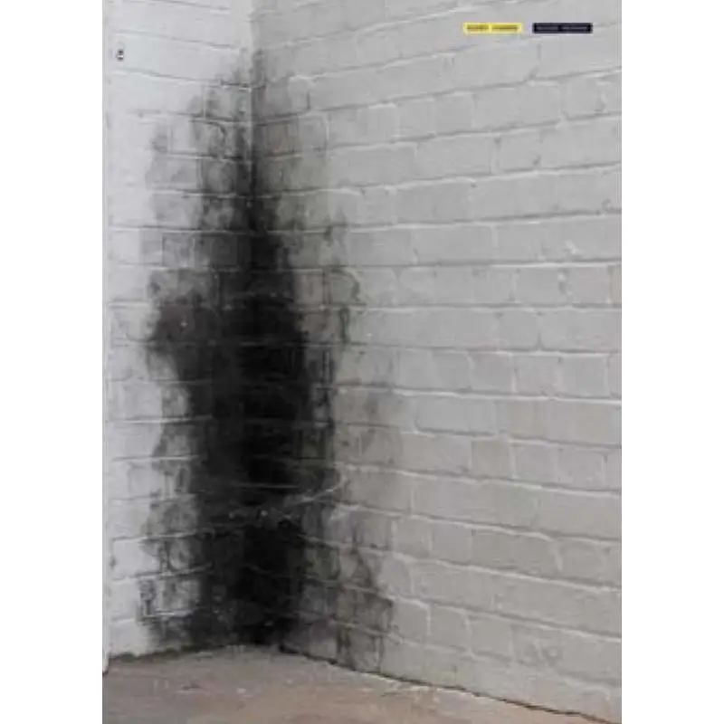 Anish Kapoor Dirty Corner Gianni Mercurio And Demetrio Paparoni Skira Editore 9788857210612 Book