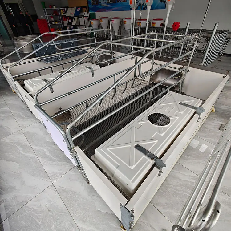 Plug and Play Safe Design Pig Housing Farrowing Cage Pig Farm Cage Equipment Farm Pig Farrowing Cage for Breeding Farm Operation