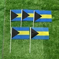 Bahamas hand flag