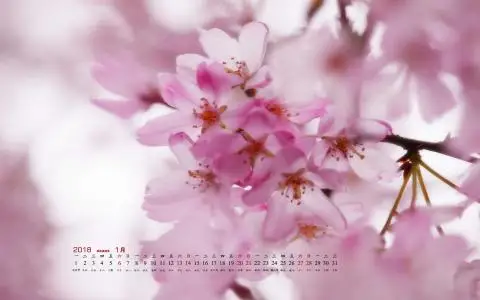 

MN MN82T LC79 MN82S MN82Pro MN82 1/12 RC car Металлический комплект для модернизации